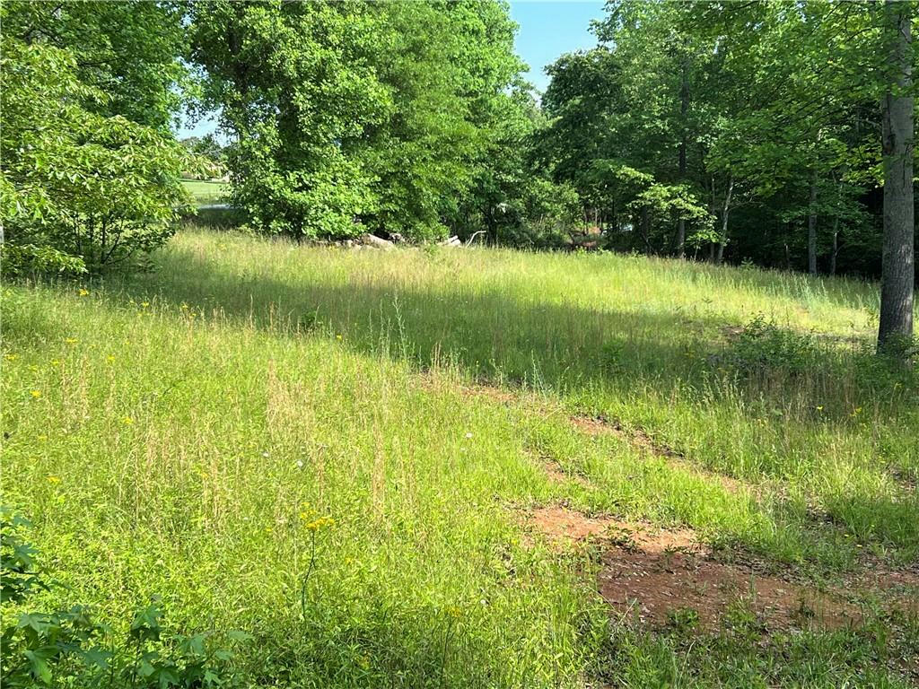00 GOLDEN SPRINGS LOT 9A DRIVE, LIBERTY, SC 29657, photo 1 of 6