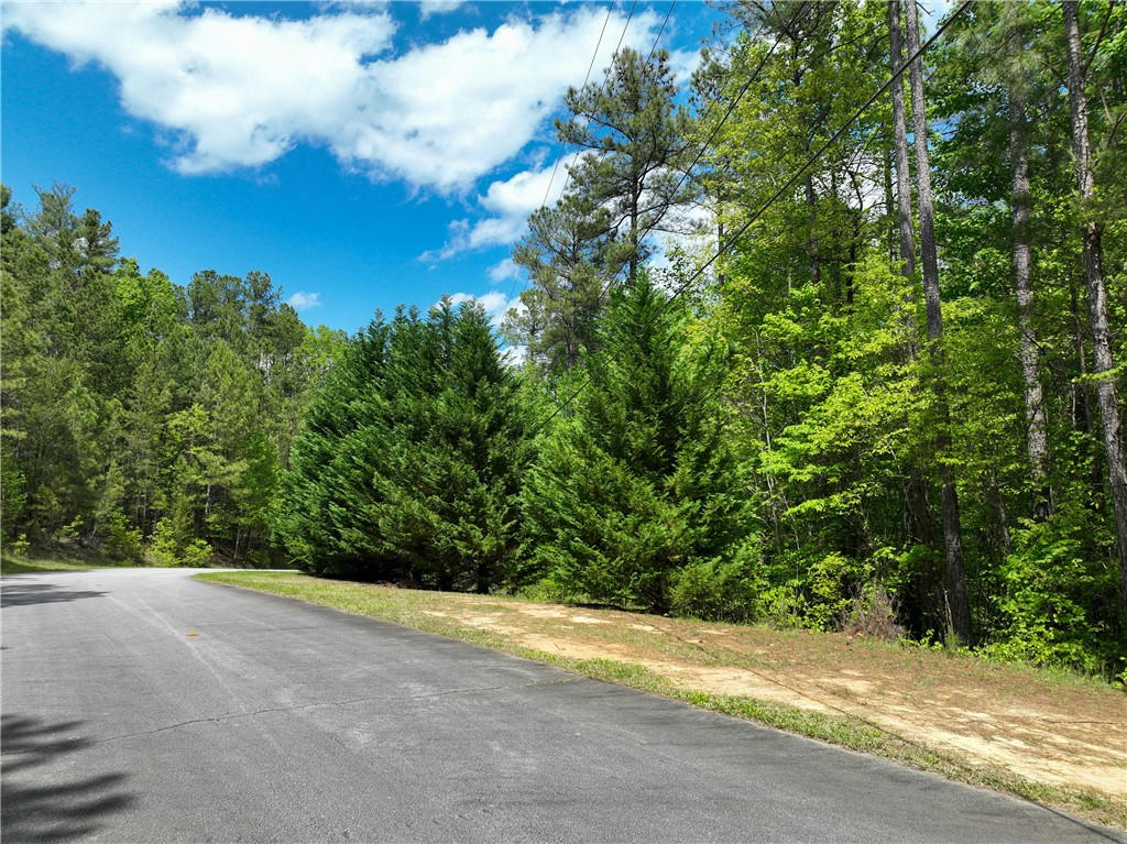 0 JOCASSEE RIDGE (LOT S-6) WAY, SALEM, SC 29676, photo 1 of 30