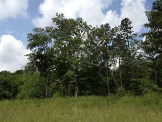 LOT 56 FOUR POINTES NORTH NATURES VIEW DR N, SALEM, SC 29676, photo 2 of 9