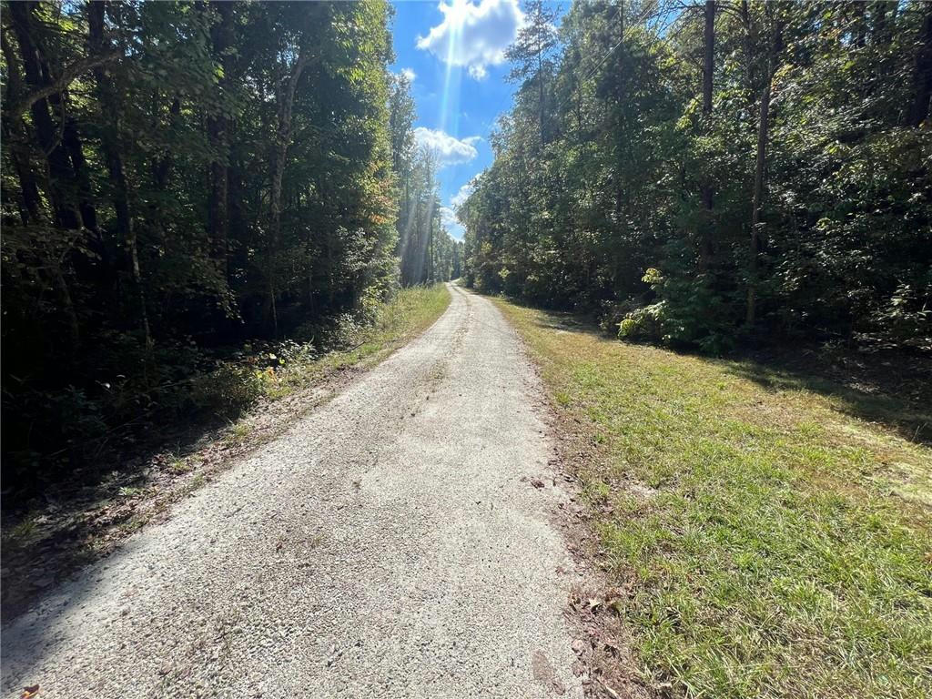 TRACT 1-B WHITE OAK FARMS ROAD, TAMASSEE, SC 29686, photo 1 of 17