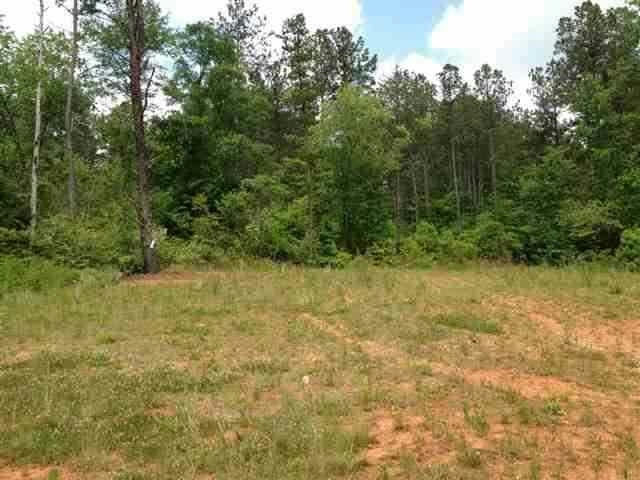 LOT 56 FOUR POINTES NORTH NATURES VIEW DR N, SALEM, SC 29676, photo 1 of 9