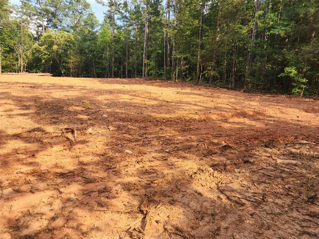 88 GREEN ACRES DRIVE EXT LOT 7, WARE SHOALS, SC 29692, photo 1 of 7